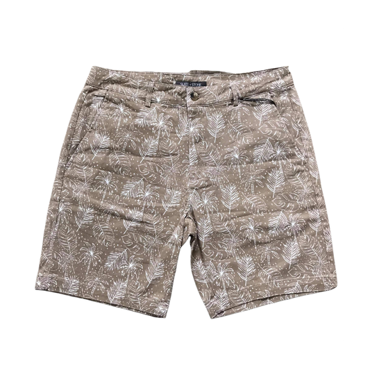 Slate & Stone WalkShorts